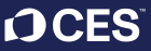 CES Las Vegas logo